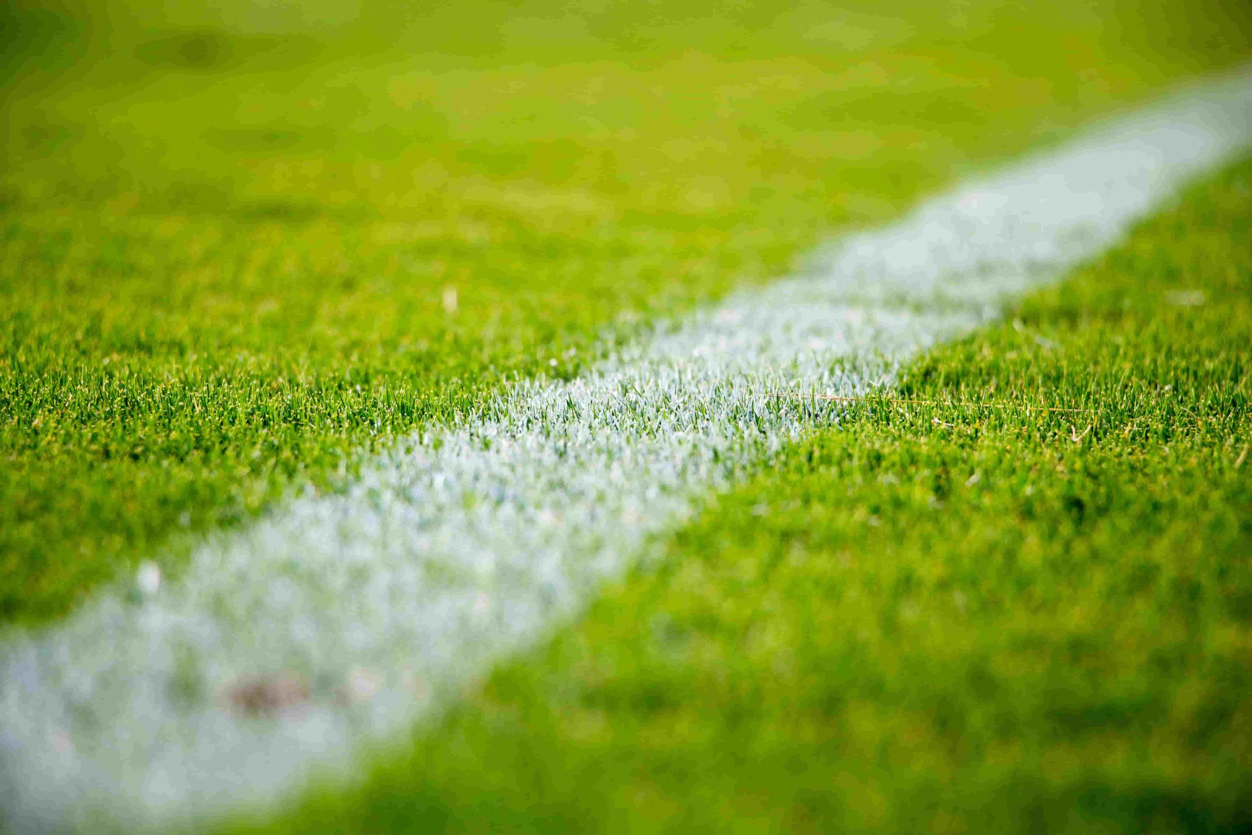 Why Tracking Betting Trends Can Help You Win Big